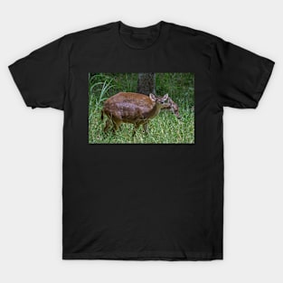 deer T-Shirt